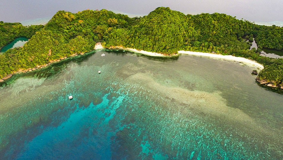 Danjugan Island, Philippines , Philippines
